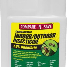 Compare-N-Save Concentrate Indoor and Outdoor Insect Control, 16-Ounce