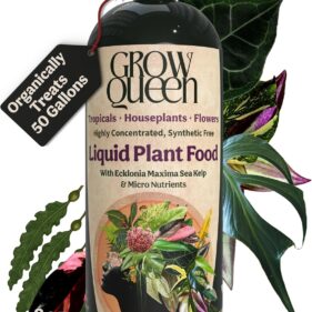 Organic Liquid Indoor Plant Food, Houseplant, Tropical & All-Purpose Indoor Plant Fertilizer, Organic Liquid Fertilizer 5-5-5 with Sea Kelp, 8oz Treats 50 Gallons
