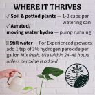 2_1_3