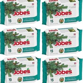 Jobes 01611 15 Pack Evergreen Tree Fertilizer Spikes - Quantity 6 Packages