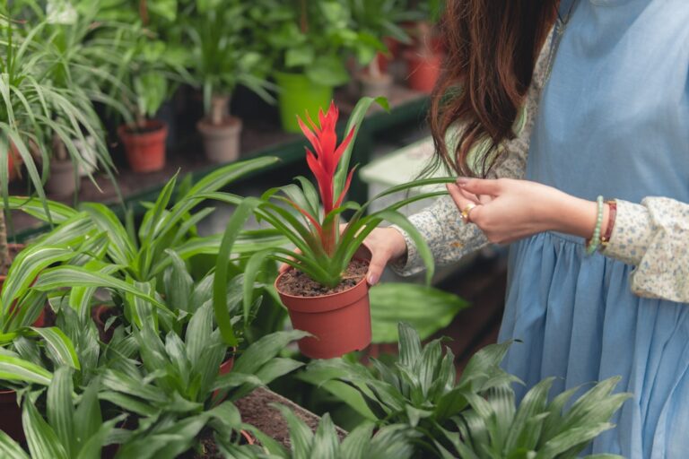 Secrets to Keeping Your Plants Healthy and Vibrant
